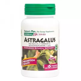 NaturesPlus Herbal Actives Astragalus 450 mg Vegetarian capsules 60's