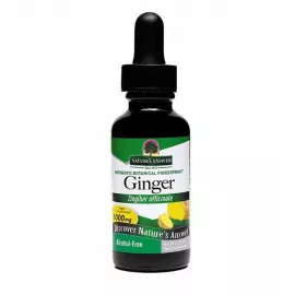 Natures Answer Ginger Root Extract 1 oz