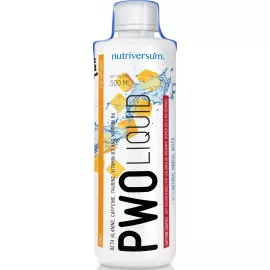 Nutriversum Flow PWO Liquid Mango 500ml