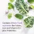 Garden of Life Vitamin Code Raw Prenatal Vegetarian Capsules 90's