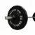 1441 Fitness Olympic Bumper plates for Strength Training - Black (10 Kg)