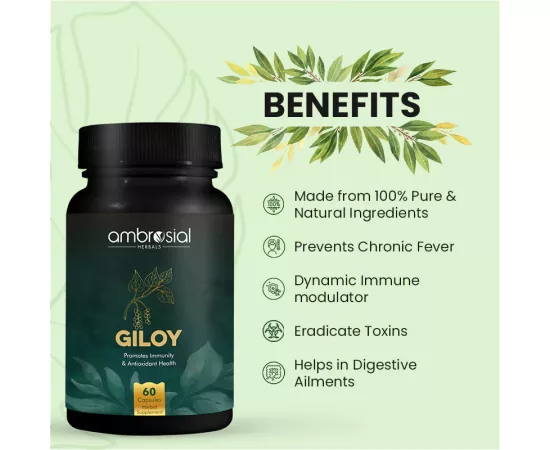 Ambrosial Giloy Vegetable Capsules 500 mg 60's