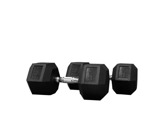 1441 Fitness Rubber Hex Dumbbells (22.5 Kg) â€“ Solid Cast Iron Core Rubber Coated Head