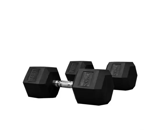 1441 Fitness Rubber Hex Dumbbells (30 Kg) â€“ Solid Cast Iron Core Rubber Coated Head