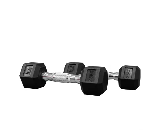 1441 Fitness Rubber Hex Dumbbells (2.5 Kg) â€“ Solid Cast Iron Core Rubber Coated Head