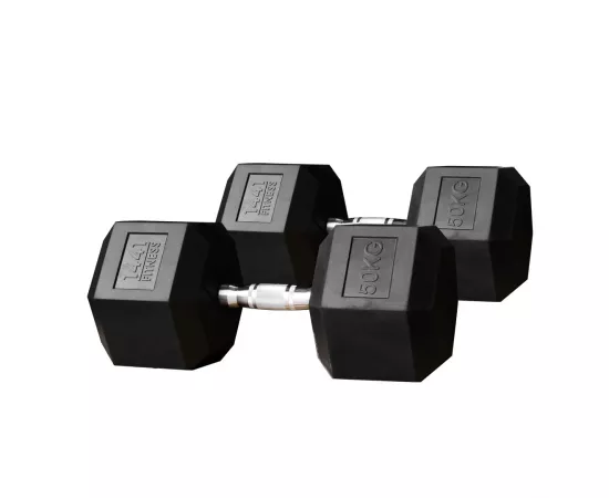 1441 Fitness Rubber Hex Dumbbells (50 Kg) â€“ Solid Cast Iron Core Rubber Coated Head
