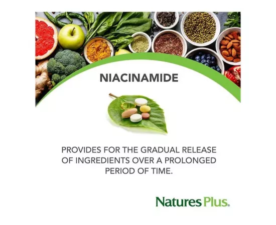 Natures Plus Niacinamide 500 mg 90's