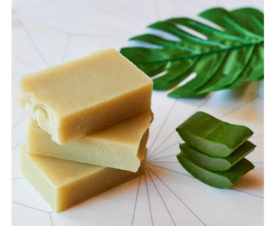 The Skin Concept Handmade Artisanal - Aloe Vera - Bar Soap