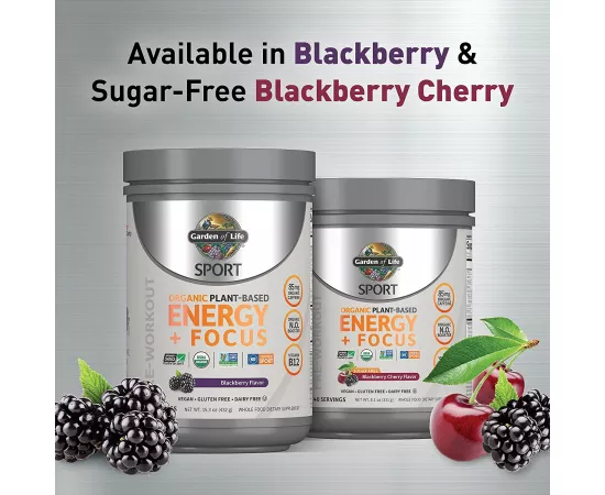 Garden Of Life Sport Organic Energy Plus Focus Blackberry 15.3 oz (432 g)