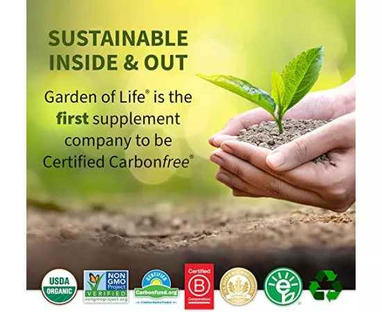 Garden of Life Organic Plant Protein Grain Free Smooth Vanilla Flavor 9.4 oz (265 g)