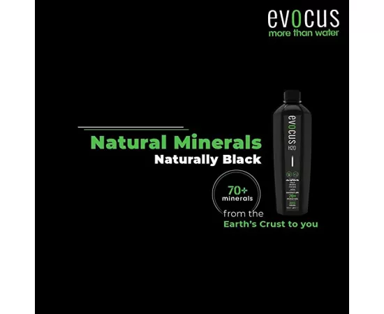 Evocus H2O Mineral Black Water 250 ml x 24