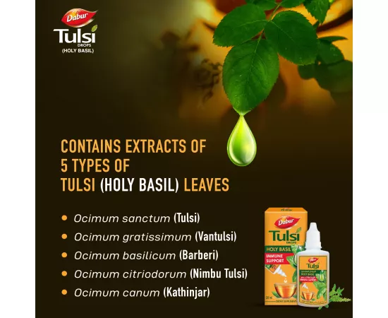 Dabur Tulsi Drops | Holy Basil | Extract of 5 Rare Tulsi | Natural Immunity Booster | Ayurvedic | Herbal | Cough | Cold | 30 ml