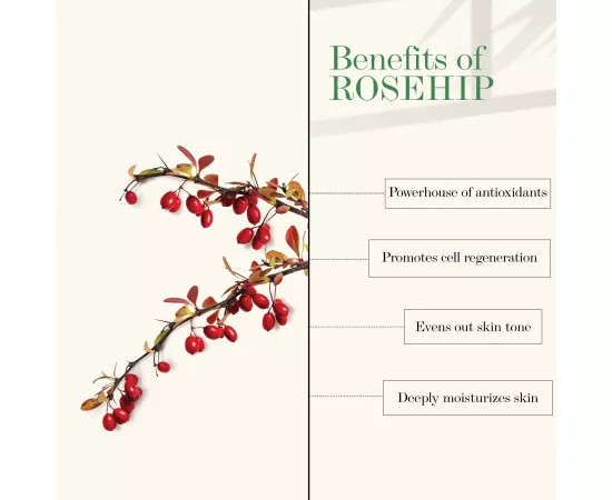 Good Vibes Rosehip Moisture Rich Face Cream (100 g)