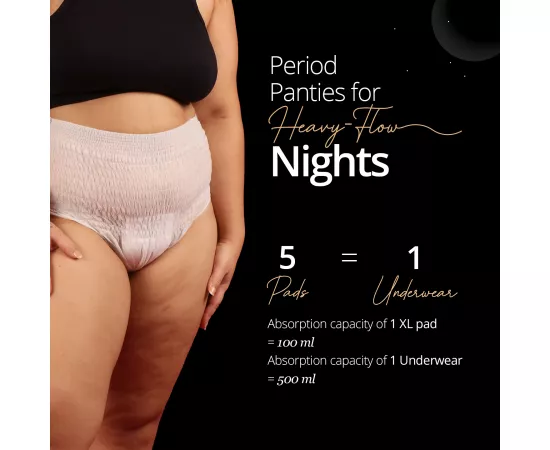 Carmesi Disposable Period Underwear (4 units) (L-XL)