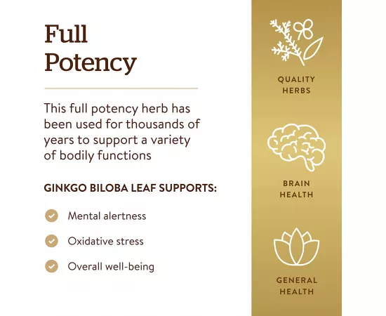 Solgar Ginkgo Biloba Leaf Extract Vegetable Capsules 180'S