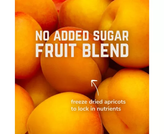 VELOFORTE Solo Apricot Sage Flavour Electrolyte Powder 9 x 5g